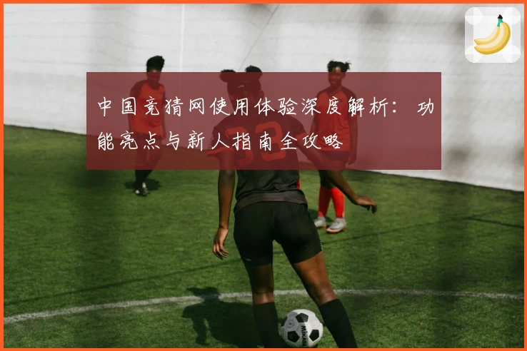 中国竞猜网使用体验深度解析：功能亮点与新人指南全攻略