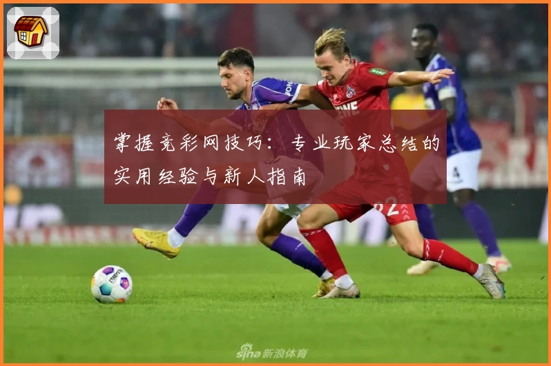 掌握竞彩网技巧：专业玩家总结的实用经验与新人指南