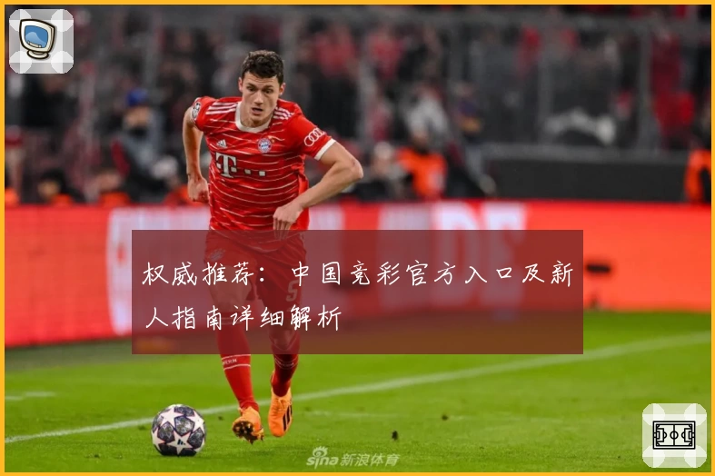 权威推荐：中国竞彩官方入口及新人指南详细解析