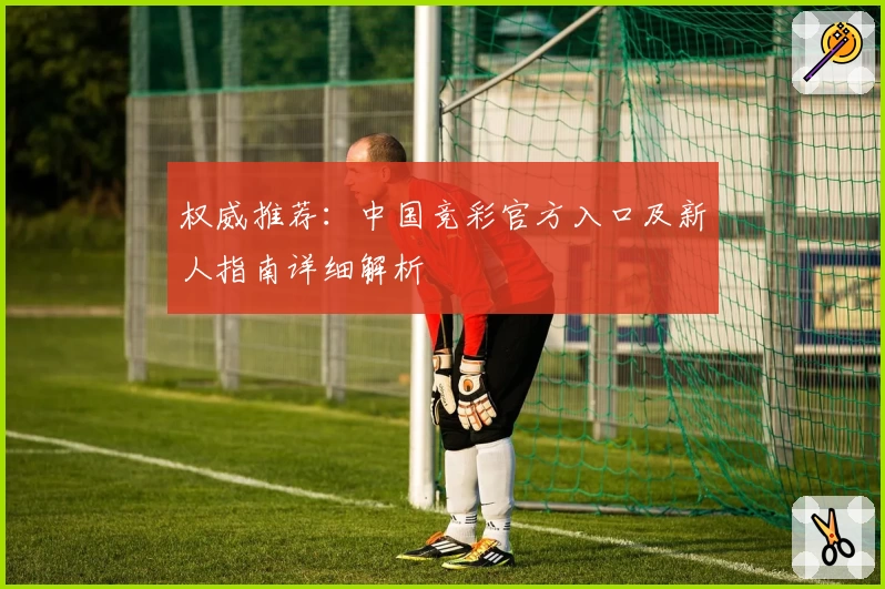 权威推荐：中国竞彩官方入口及新人指南详细解析