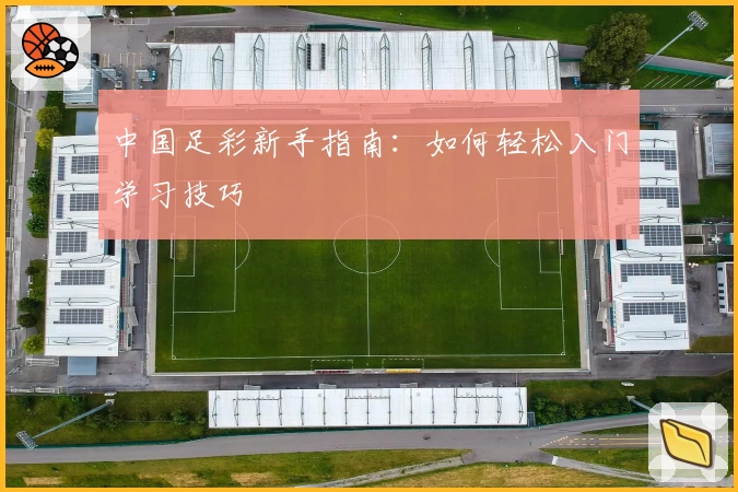 中国足彩新手指南：如何轻松入门学习技巧